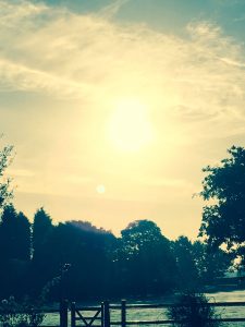 Feeling Tired? Autumn Sun