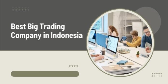 Best Big Trading Company in Indonesia