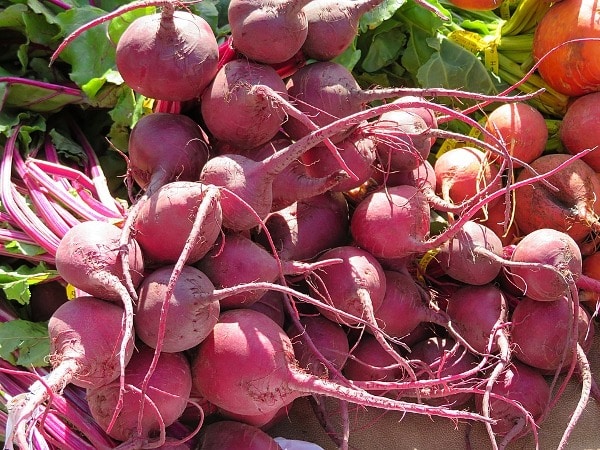 Information Related to Beetroot Cultivation in India