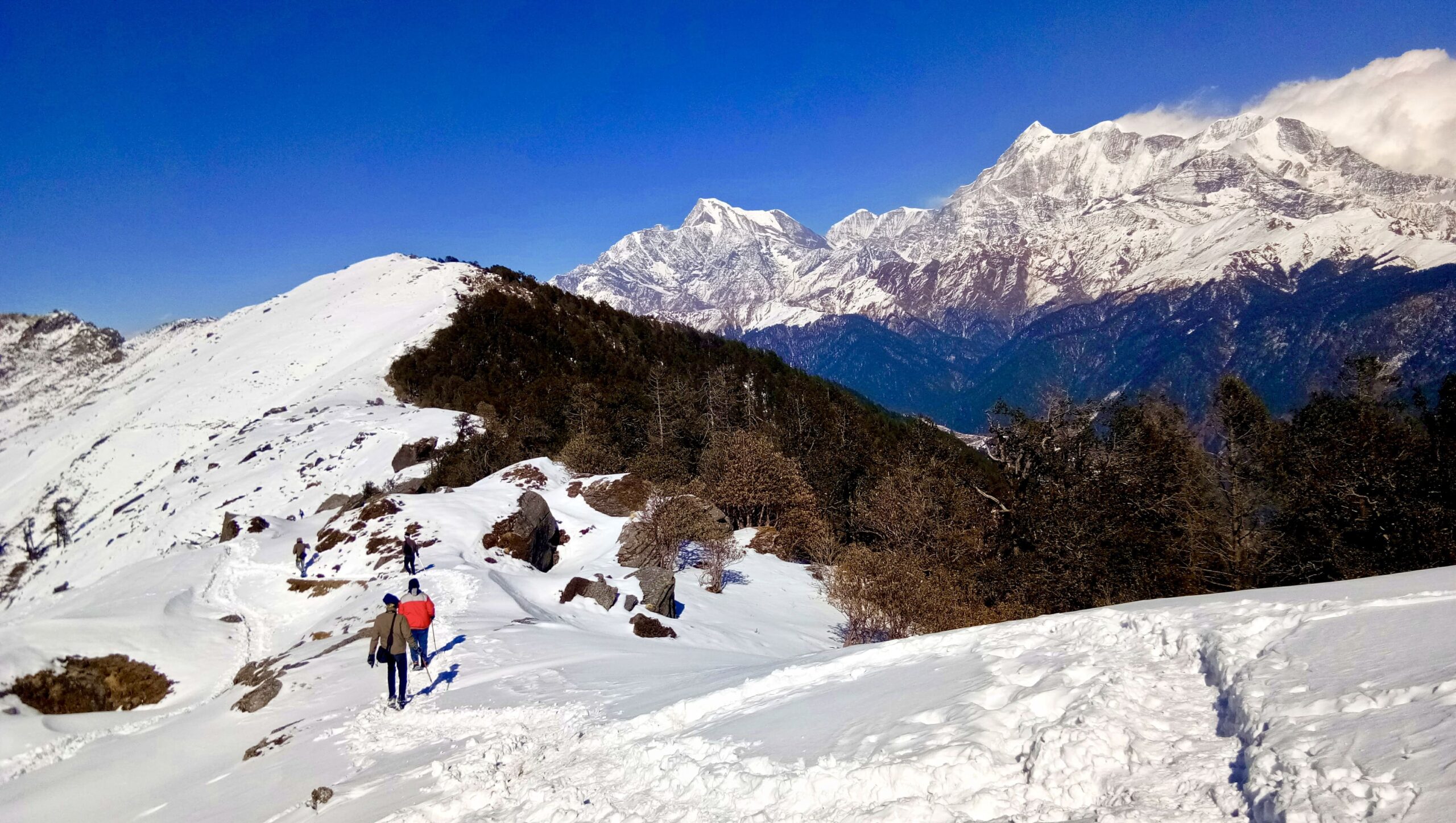 easy treks in Nepal