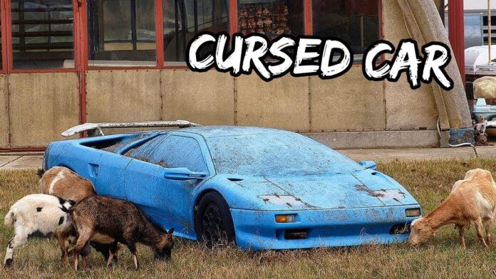 cursed cars