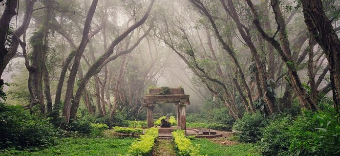 nandi hill